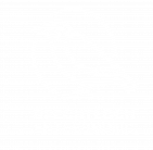 Spezialisten für Spechtloch Entfernung