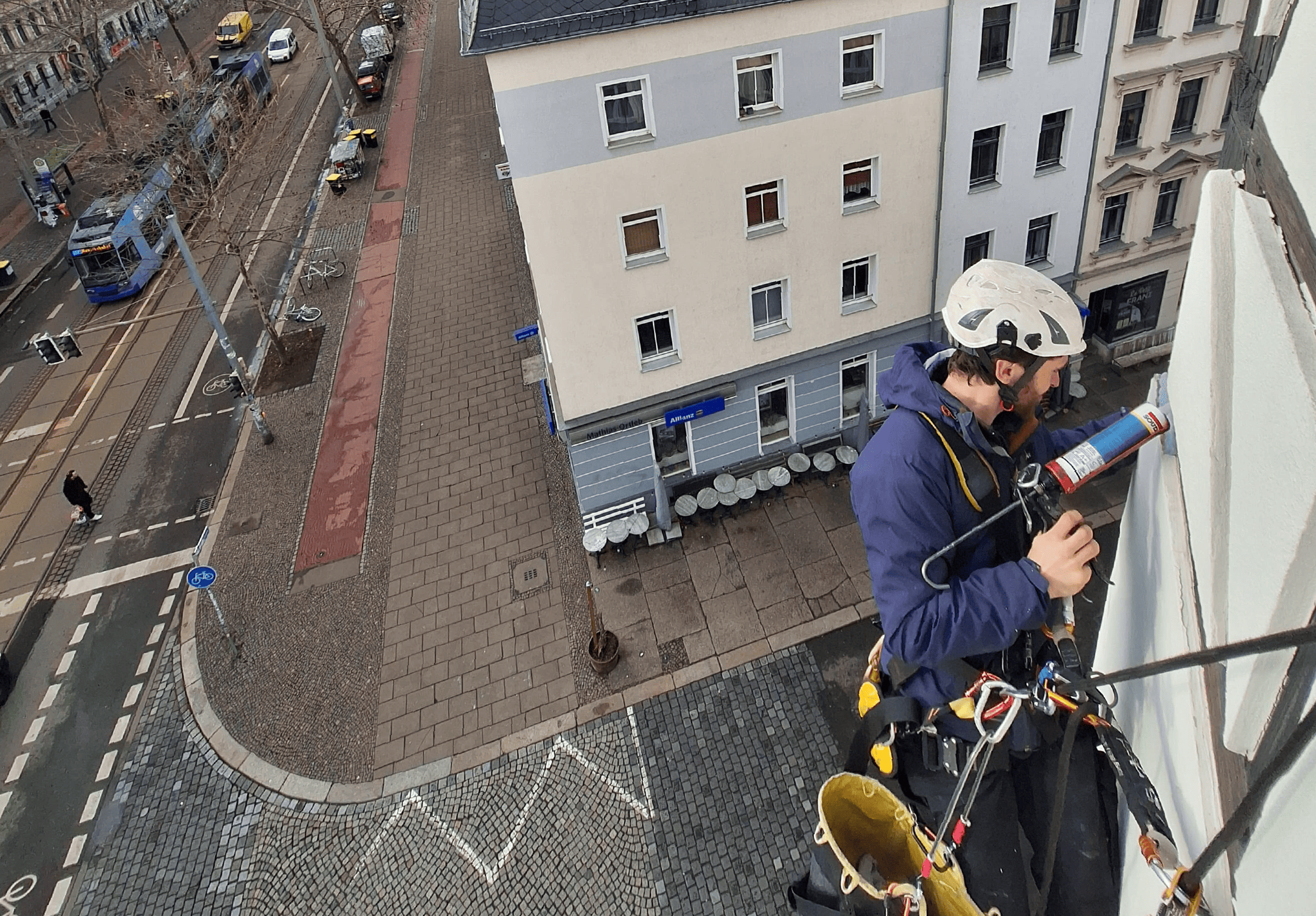 Verschiedene Spechtimitate