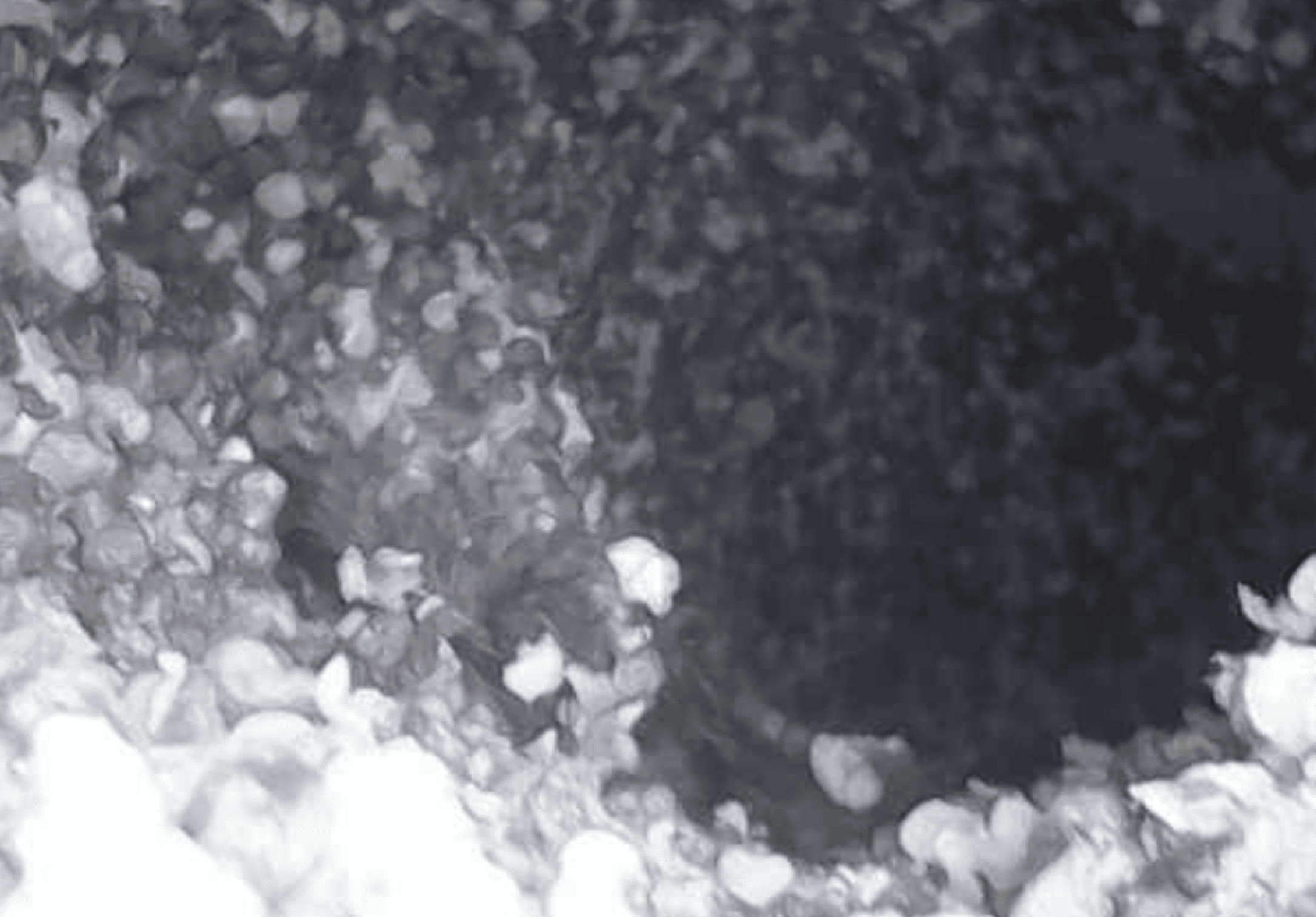 Aufnahme einer Endoskopkamera – ein Spechtloch von Innen