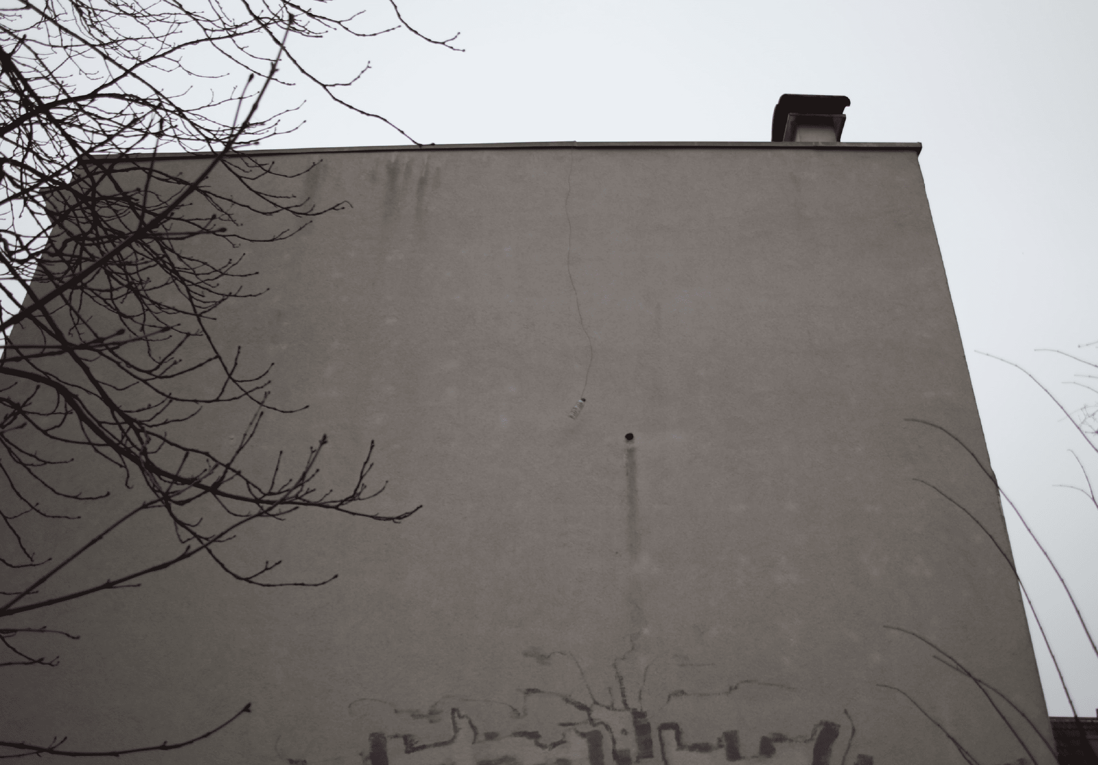 Verschmutzungen unterhalb eines Spechtloches